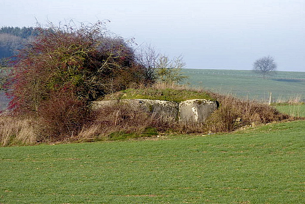 Ligne Maginot - BB25 - HEIMSTOCK EST 6 - MARCELLE - (Blockhaus pour arme infanterie) -  - Sylvie Laure LAMBERT