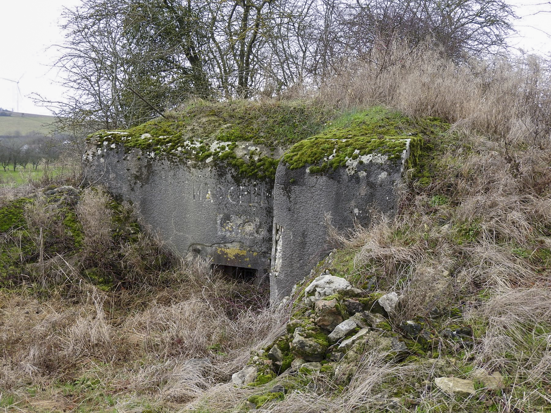 Ligne Maginot - BB25 - HEIMSTOCK EST 6 - MARCELLE - (Blockhaus pour arme infanterie) - La façade de tir. - STENGER Mathieu