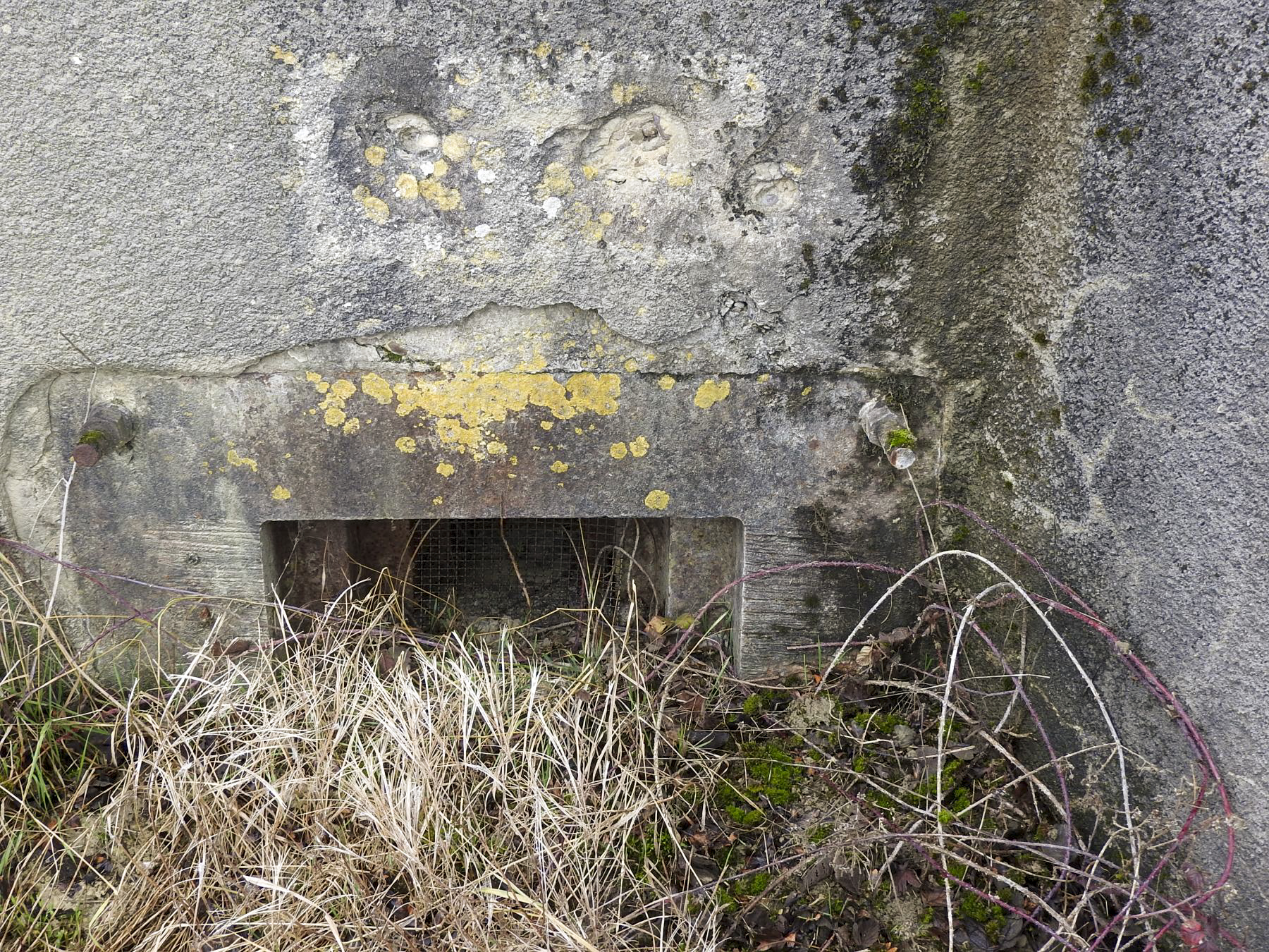 Ligne Maginot - BB25 - HEIMSTOCK EST 6 - MARCELLE - (Blockhaus pour arme infanterie) - La trémie de l'embrasure pour mitrailleuse. - STENGER Mathieu