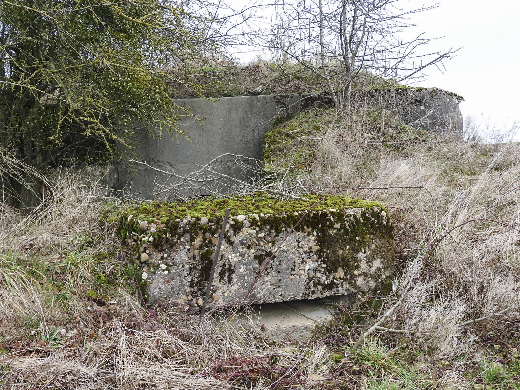 Ligne Maginot - BB25 - HEIMSTOCK EST 6 - MARCELLE - (Blockhaus pour arme infanterie) - Une petite extension pour FM devant l'entrée du blockhaus. - STENGER Mathieu