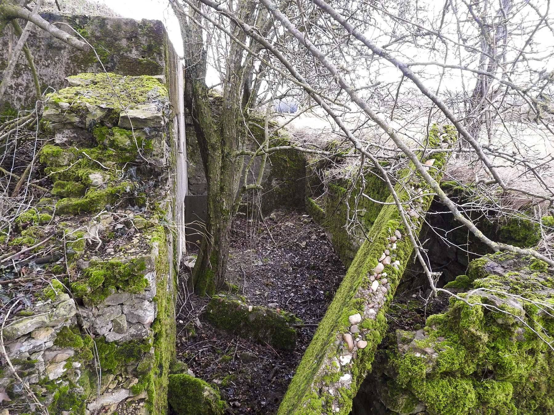 Ligne Maginot - BB25 - HEIMSTOCK EST 6 - MARCELLE - (Blockhaus pour arme infanterie) - L'accès au blockhaus. L'entrée à gauche, le poste de tir pour FM à droite. - STENGER Mathieu