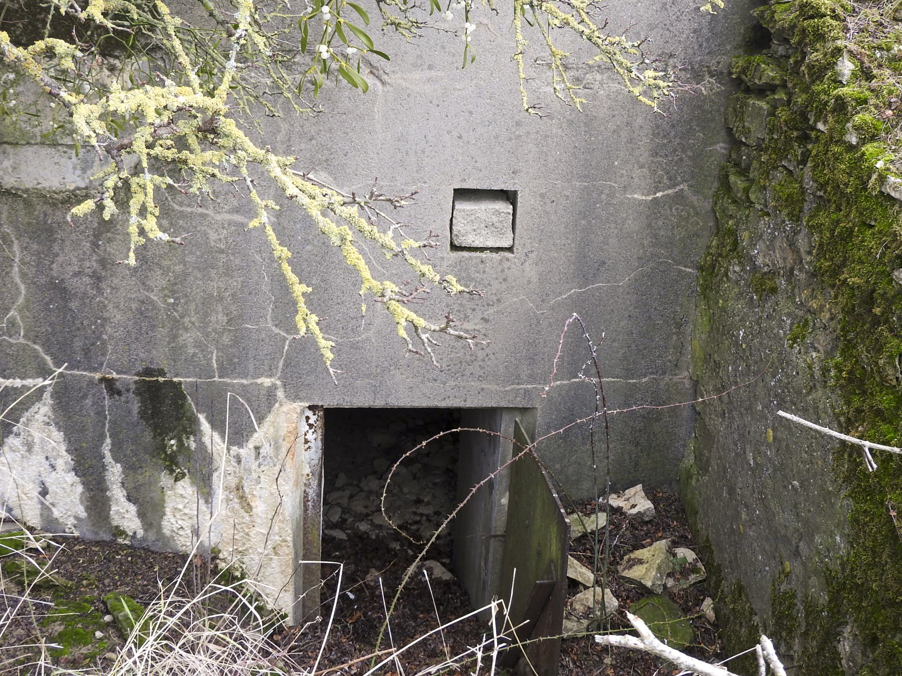 Ligne Maginot - BB25 - HEIMSTOCK EST 6 - MARCELLE - (Blockhaus pour arme infanterie) - L'entrée avec encore sa porte blindée. - STENGER Mathieu