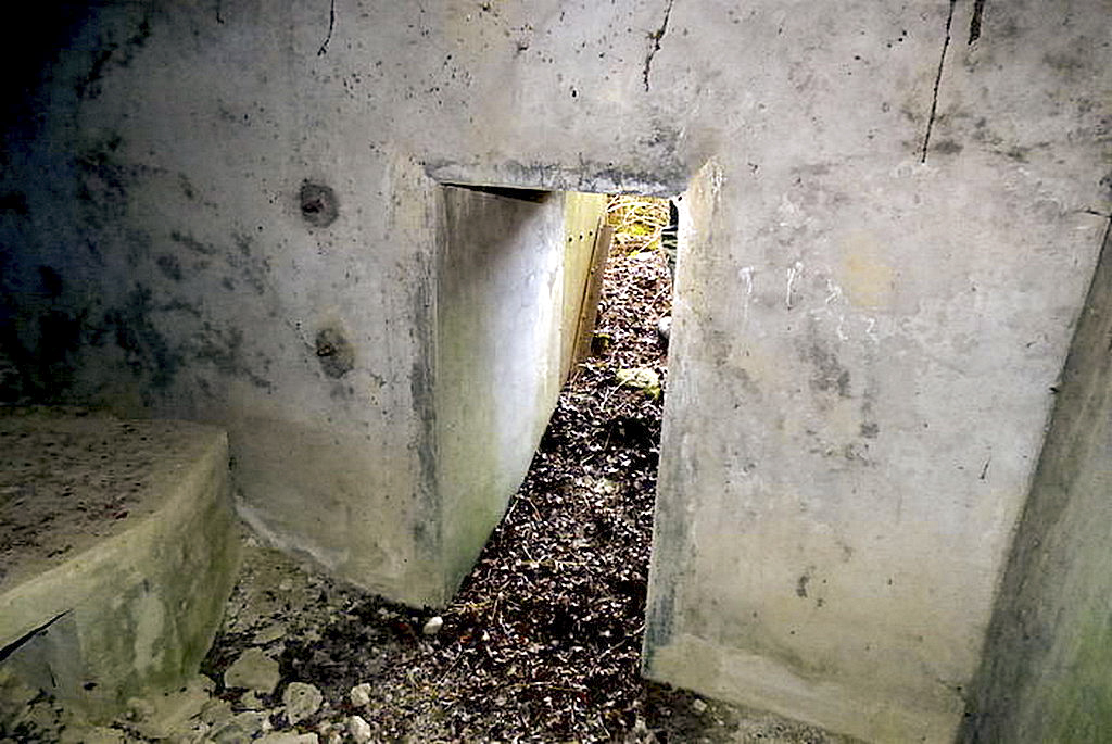 Ligne Maginot - BB25 - HEIMSTOCK EST 6 - MARCELLE - (Blockhaus pour arme infanterie) -  - Sylvie Laure LAMBERT