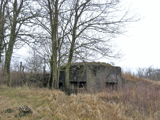 Ligne Maginot - DIEDING 1  (AVANT POSTE) - (Blockhaus pour arme infanterie) - Vue générale - Christian LENHARD