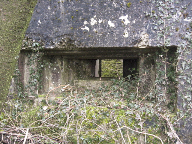 Ligne Maginot - DIEDING 1  (AVANT POSTE) - (Blockhaus pour arme infanterie) - Créneau mitrailleuse - Christian LENHARD