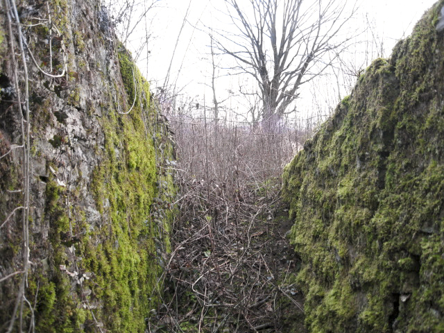 Ligne Maginot - DIEDING 1  (AVANT POSTE) - (Blockhaus pour arme infanterie) - L'accès au blockhaus - Christian LENHARD