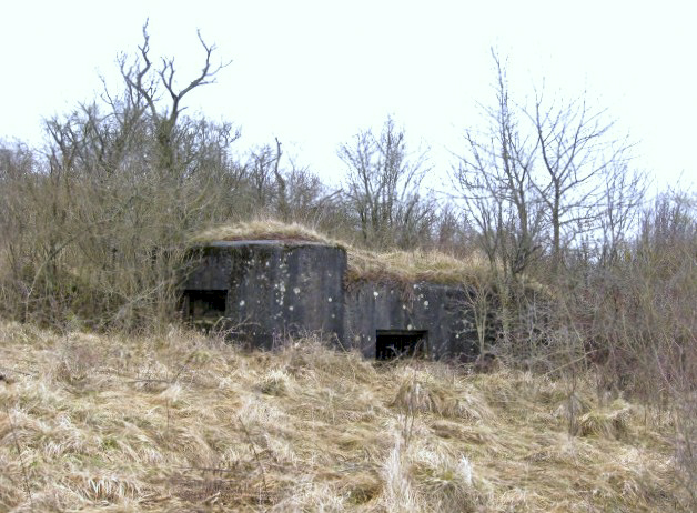Ligne Maginot - DIEDING 2 (AVANT POSTE) - (Blockhaus pour canon) - Vue générale - Christian LENHARD