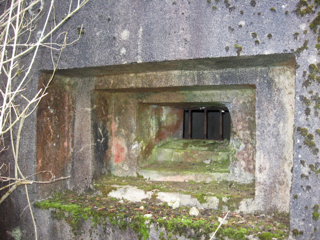 Ligne Maginot - DIEDING 2 (AVANT POSTE) - (Blockhaus pour canon) - Créneau mitrailleuse - Christian LENHARD