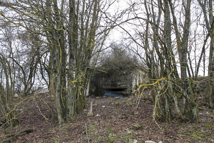 Ligne Maginot - Vue générale - Vue générale - Christian LENHARD