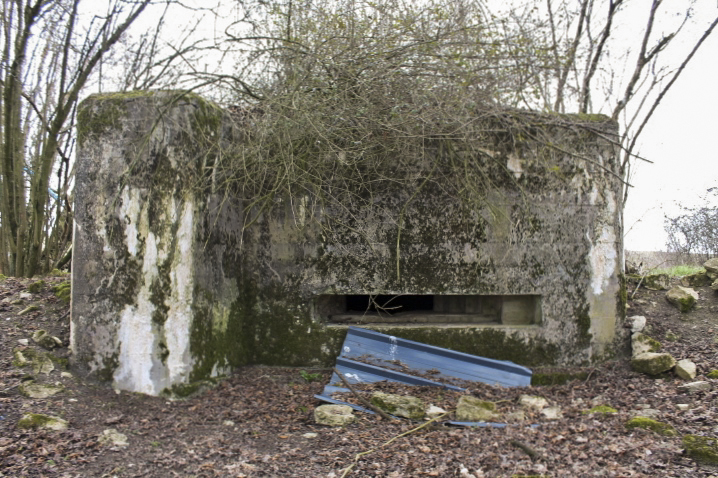 Ligne Maginot - Façade de tir - Façade de tir - Christian LENHARD