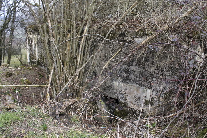 Ligne Maginot - Façade arriere - Façade arriere - Christian LENHARD