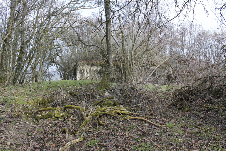 Ligne Maginot - Les alentours - Les alentours
Un boyau reliait le blockhaus à un poste de guet - Christian LENHARD