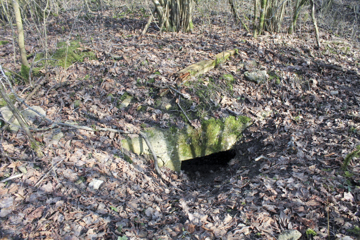 Ligne Maginot - L'entrée de l'abri - L'entrée de l'abri - Christian LENHARD