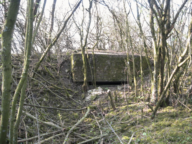 Ligne Maginot - FUERST 9 - (Observatoire d'infanterie) - Vue générale - Christian LENHARD
