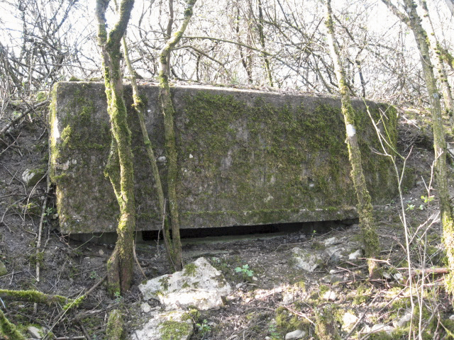 Ligne Maginot - FUERST 9 - (Observatoire d'infanterie) - Créneau d'observation - Christian LENHARD