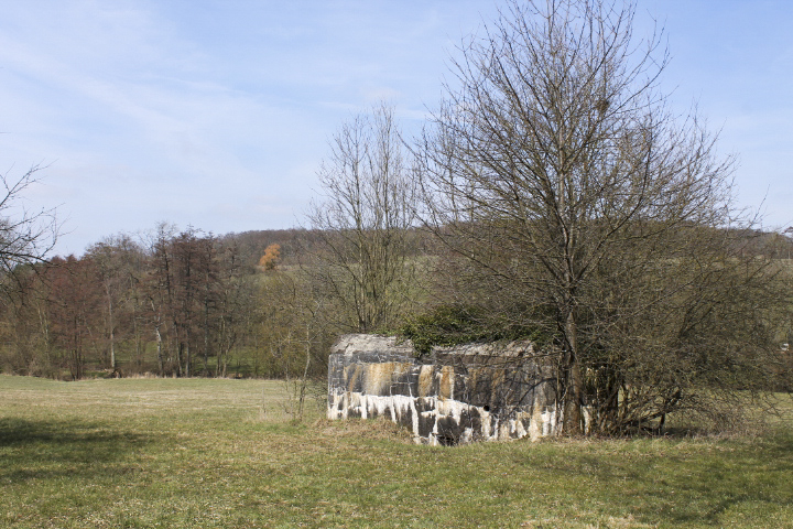 Ligne Maginot - GALLENMUEHLE 1 - (Blockhaus pour arme infanterie) - Vue générale - Christian LENHARD