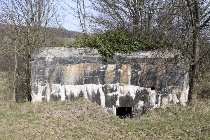 Ligne Maginot - GALLENMUEHLE 1 - (Blockhaus pour arme infanterie) - L'entrée - Christian LENHARD