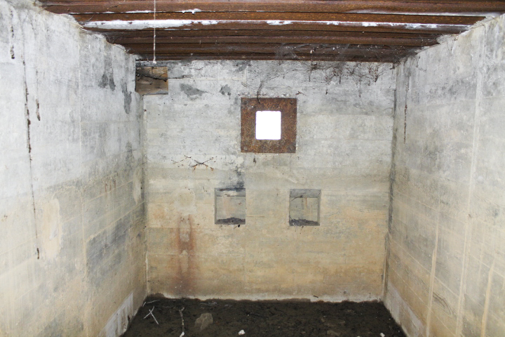 Ligne Maginot - GALLENMUEHLE 1 - (Blockhaus pour arme infanterie) - Le créneau mitrailleuse - Christian LENHARD