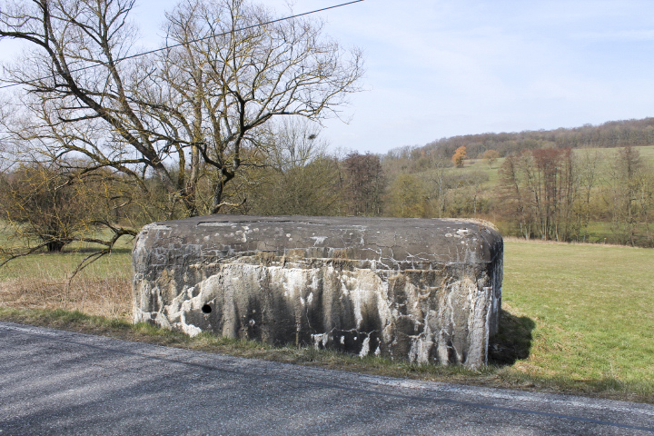 Ligne Maginot - GALLENMUEHLE 2 - (Blockhaus pour arme infanterie) - Façade arriere - Christian LENHARD