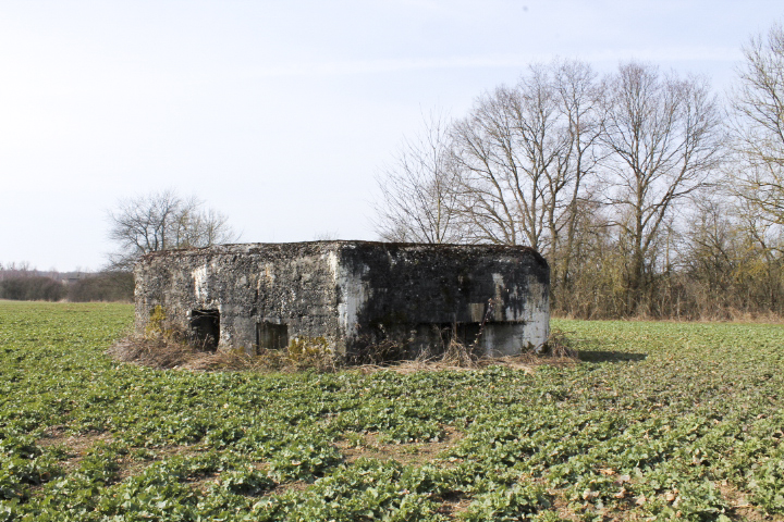 Ligne Maginot - GARE DE KALHAUSEN 2 - (Blockhaus pour arme infanterie) - Vue générale - Christian LENHARD