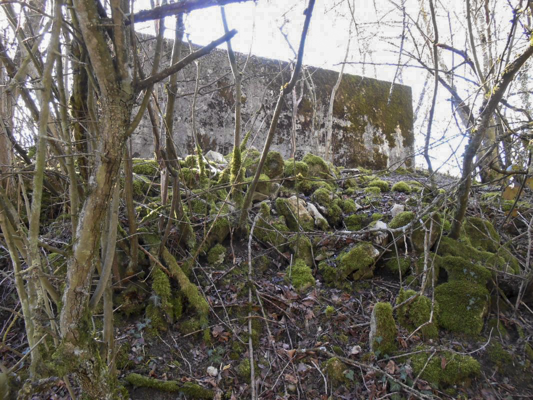 Ligne Maginot - GARE DE KALHAUSEN 3 - (Blockhaus pour arme infanterie) -  - Gérard Kuffler