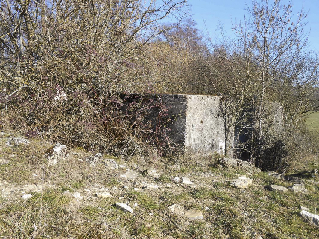 Ligne Maginot - GARE DE KALHAUSEN 3 - (Blockhaus pour arme infanterie) -  - Gérard Kuffler