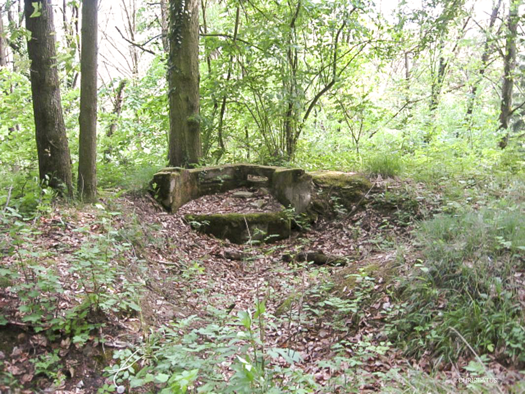 Ligne Maginot - GERSWEILER WALD - (Observatoire indéterminé) -  - Christian LENHARD