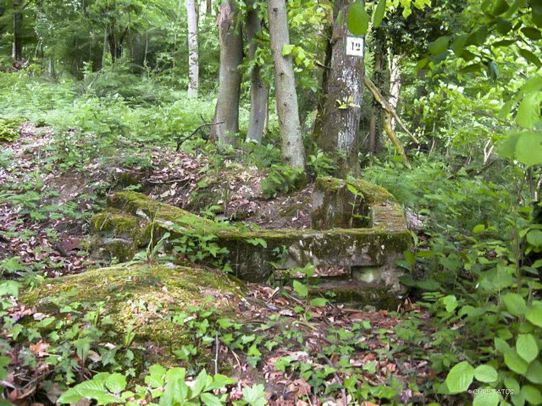 Ligne Maginot - GERSWEILER WALD - (Observatoire indéterminé) -  - Christian LENHARD