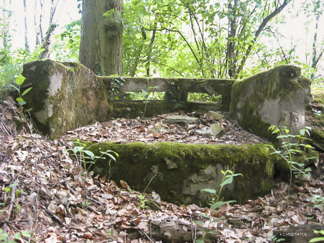 Ligne Maginot - GERSWEILER WALD - (Observatoire indéterminé) -  - Christian LENHARD
