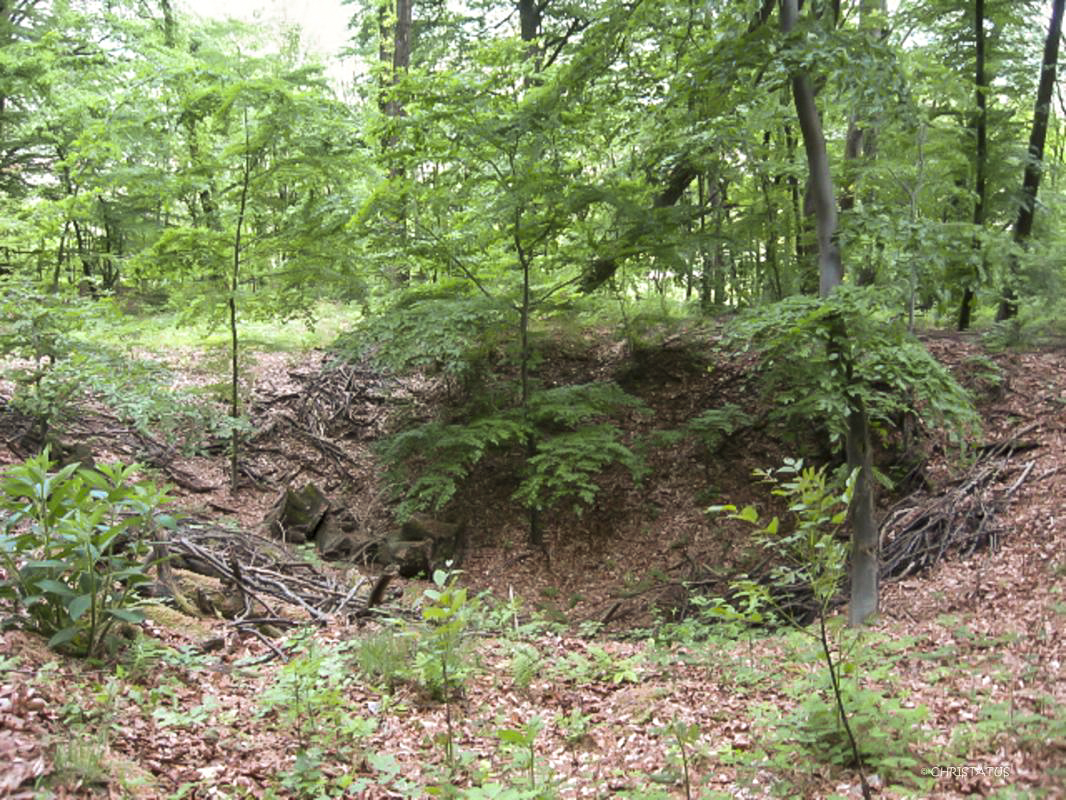 Ligne Maginot - GERSWEILER WALD - (Observatoire indéterminé) -  - Christian LENHARD