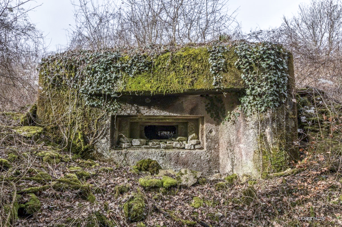 Ligne Maginot - GRAND BOIS 3 - (Blockhaus pour canon) -  - Christian LENHARD