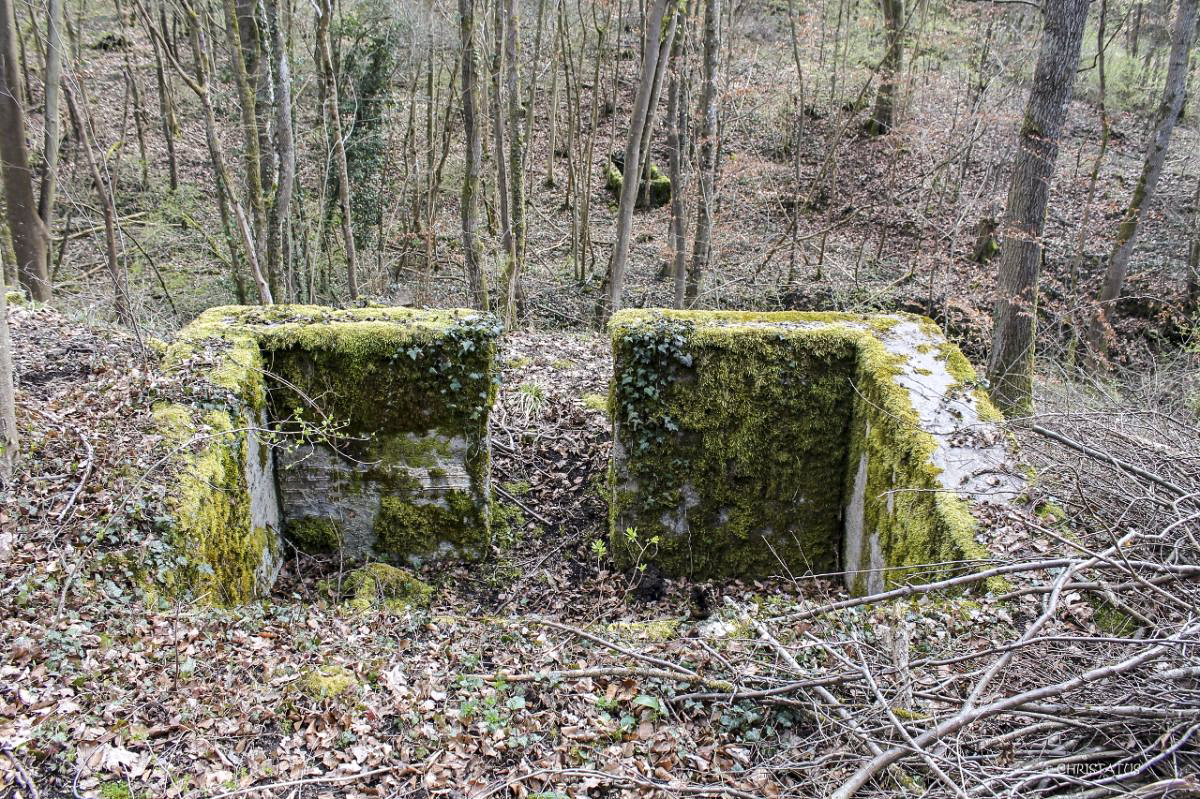 Ligne Maginot - GRAND BOIS 6 - (Cuve pour arme d'infanterie) -  - Christian LENHARD