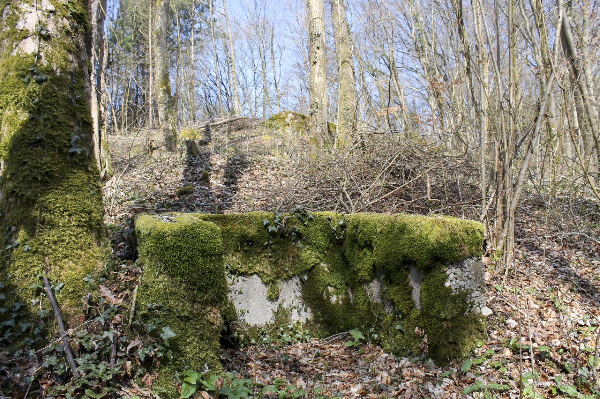 Ligne Maginot - GRAND BOIS 6 - (Cuve pour arme d'infanterie) -  - Christian LENHARD