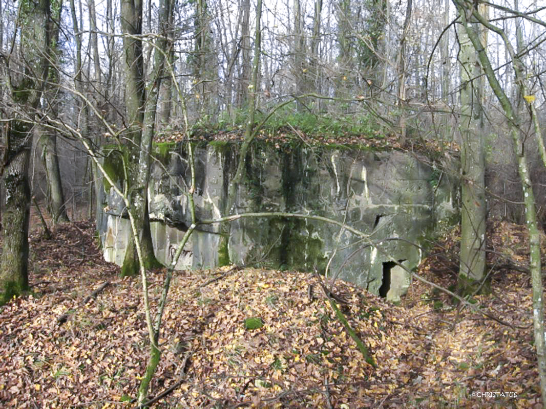 Ligne Maginot - GROSSWALD 1 - (Blockhaus pour arme infanterie) -  - Christian LENHARD