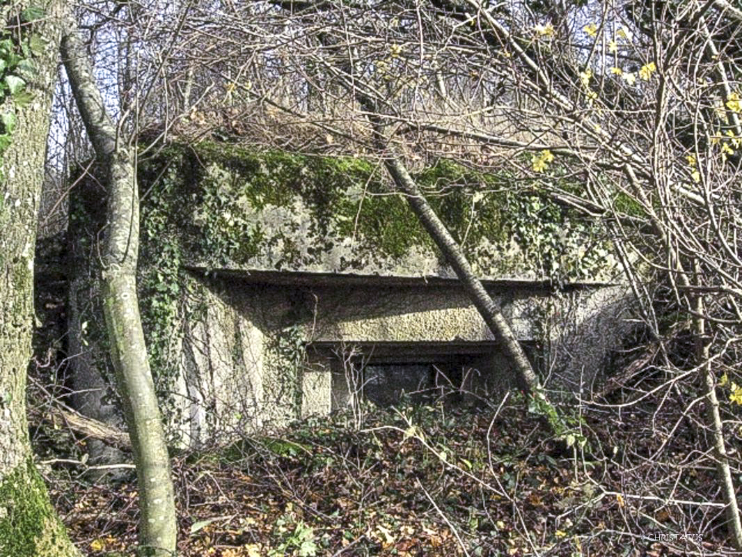 Ligne Maginot - GROSSWALD 2 - (Blockhaus pour canon) -  - Christian LENHARD