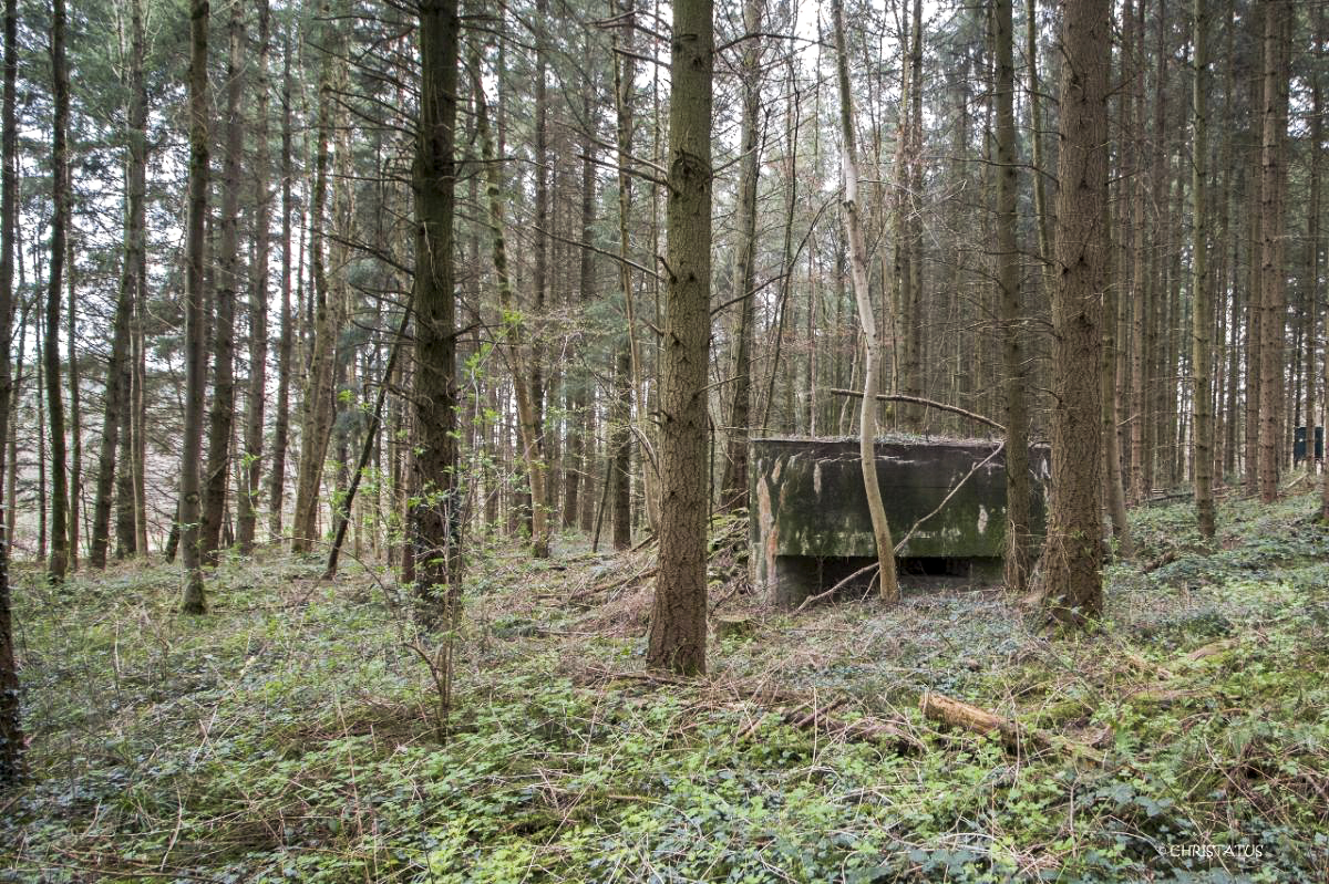 Ligne Maginot - GROSSWALD 3 - (Blockhaus pour arme infanterie) -  - Christian LENHARD