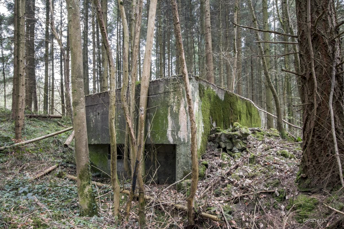 Ligne Maginot - GROSSWALD 3 - (Blockhaus pour arme infanterie) -  - Christian LENHARD