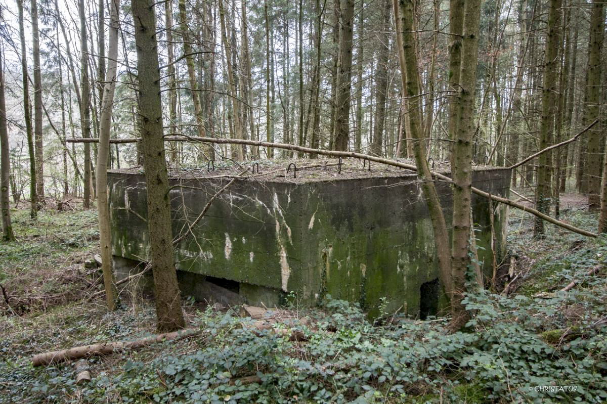 Ligne Maginot - GROSSWALD 3 - (Blockhaus pour arme infanterie) -  - Christian LENHARD