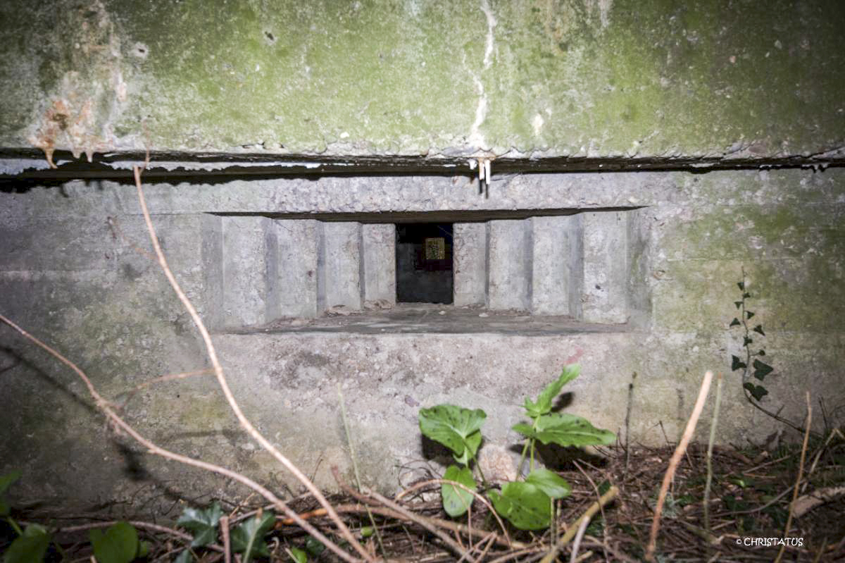 Ligne Maginot - GROSSWALD 3 - (Blockhaus pour arme infanterie) -  - Christian LENHARD