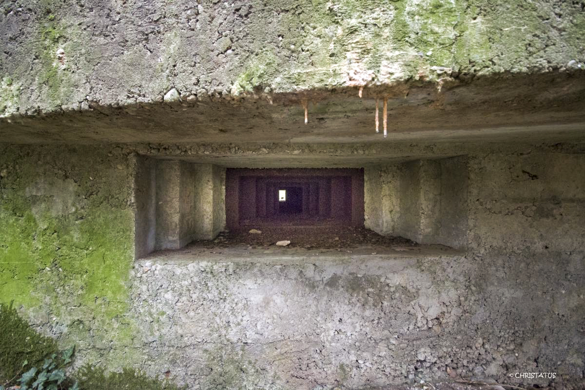 Ligne Maginot - GROSSWALD 3 - (Blockhaus pour arme infanterie) -  - Christian LENHARD