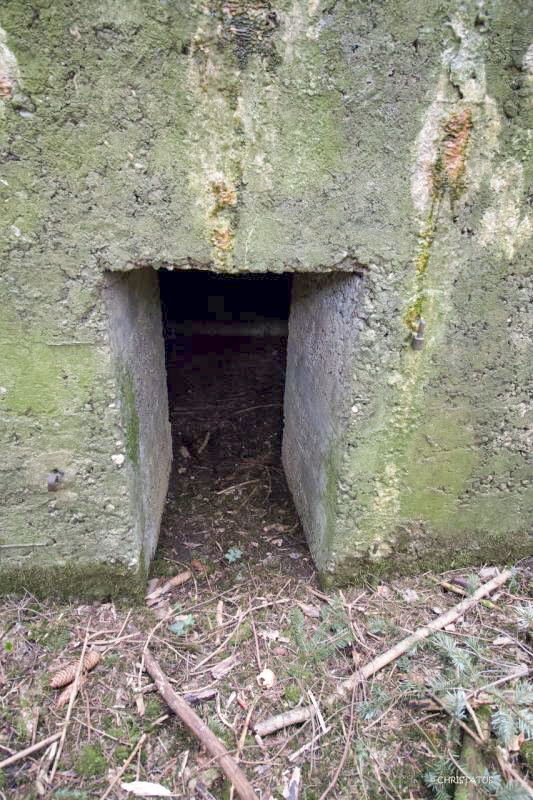 Ligne Maginot - GROSSWALD 3 - (Blockhaus pour arme infanterie) - L'entrée - Christian LENHARD