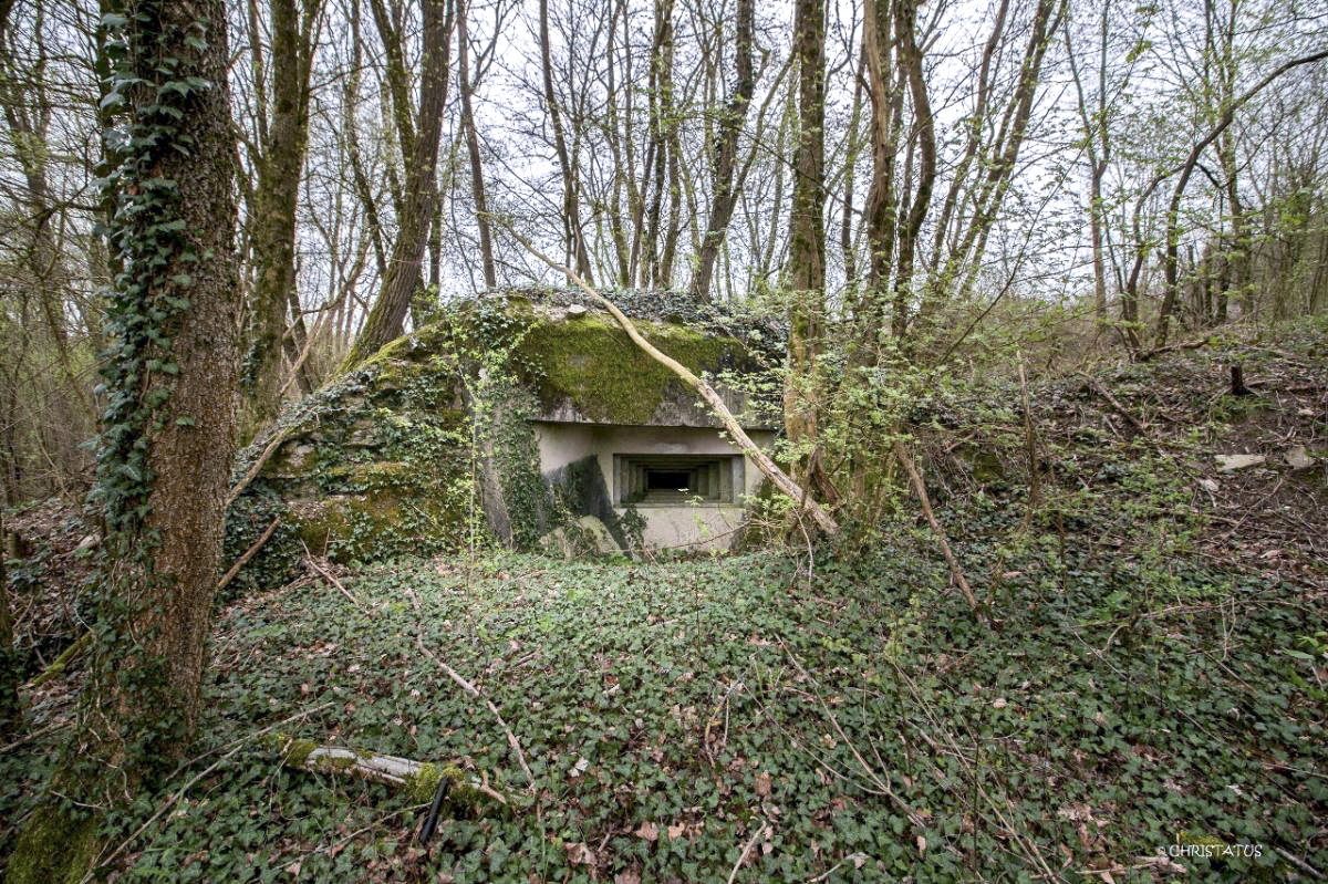 Ligne Maginot - GROSSWALD 4 - (Blockhaus pour arme infanterie) -  - Christian LENHARD