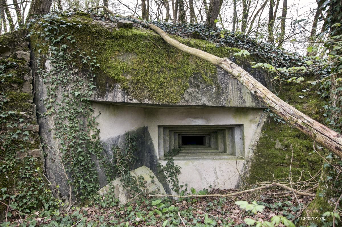 Ligne Maginot - GROSSWALD 4 - (Blockhaus pour arme infanterie) -  - Christian LENHARD