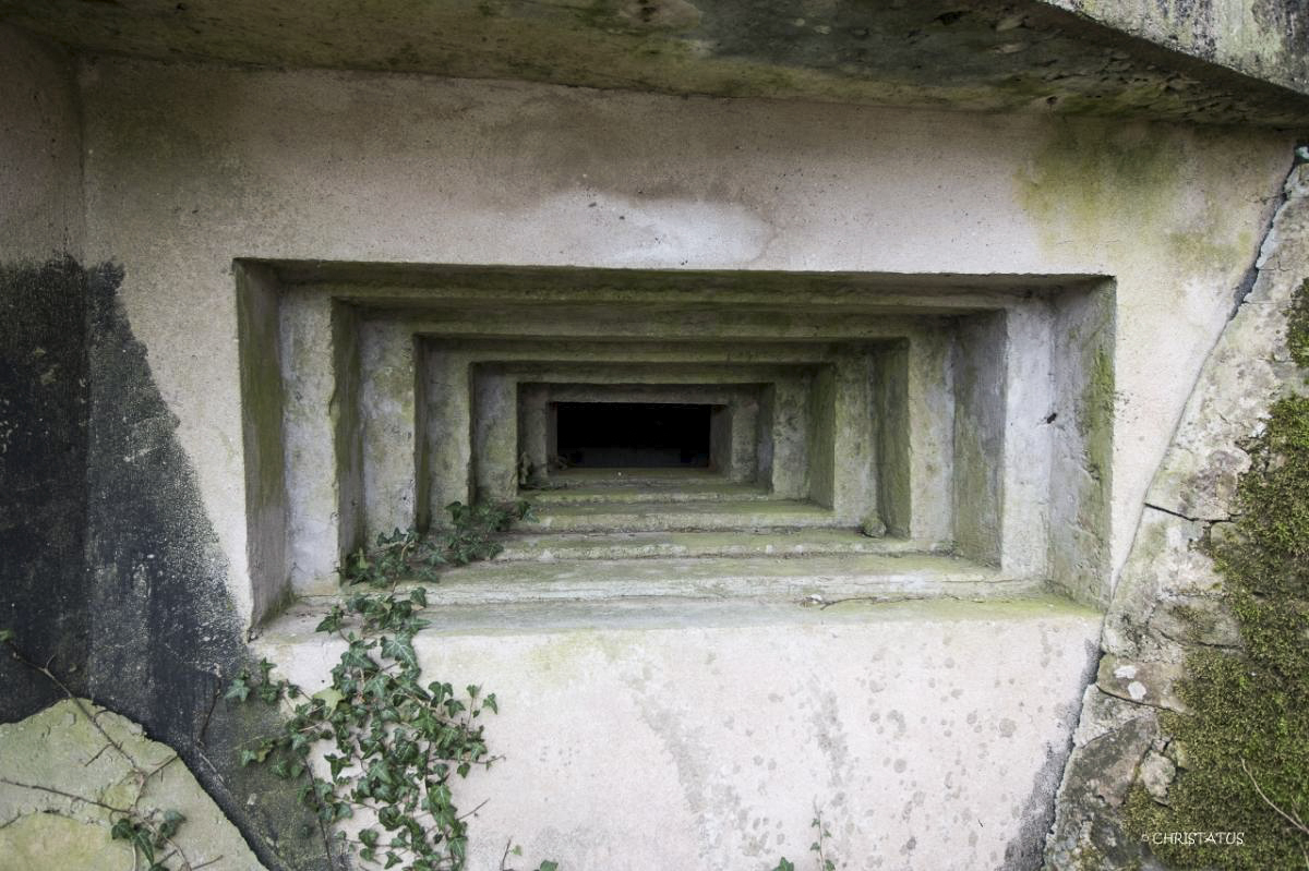 Ligne Maginot - GROSSWALD 4 - (Blockhaus pour arme infanterie) -  - Christian LENHARD