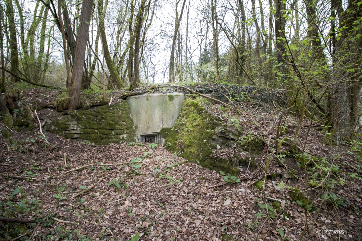 Ligne Maginot - GROSSWALD 4 - (Blockhaus pour arme infanterie) -  - Christian LENHARD