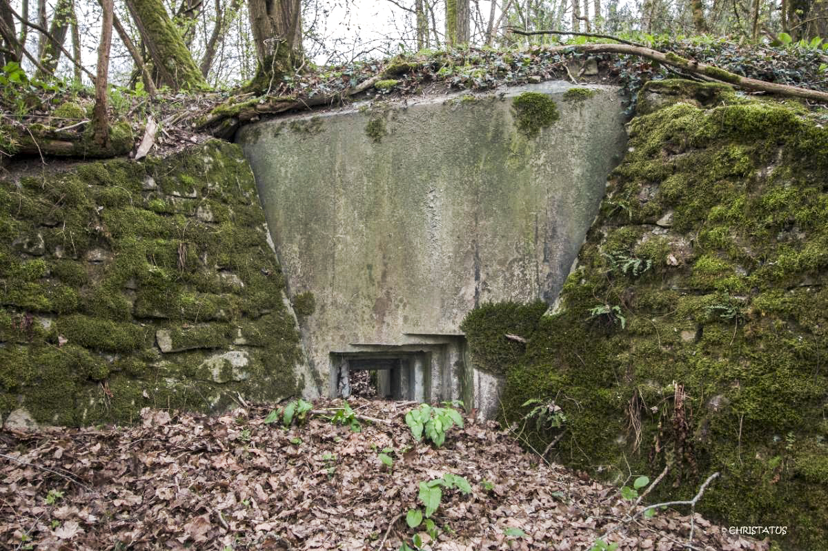 Ligne Maginot - GROSSWALD 4 - (Blockhaus pour arme infanterie) -  - Christian LENHARD