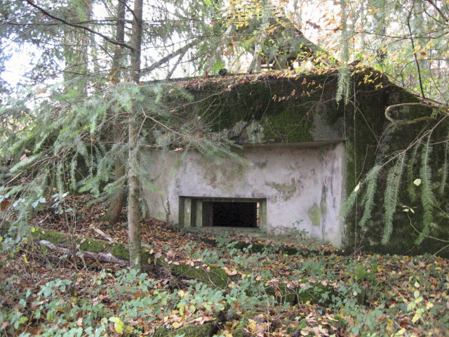 Ligne Maginot - GROSSWALD 7 - (Blockhaus pour canon) - Façade de tir - Christian LENHARD