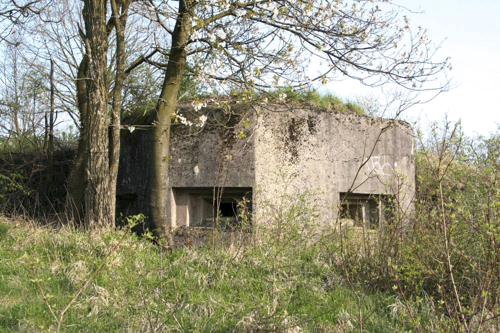 Ligne Maginot - DIEDING 1 (Avant Poste) - (Blockhaus pour arme infanterie) - Vue d'ensemble - BACH Thierry