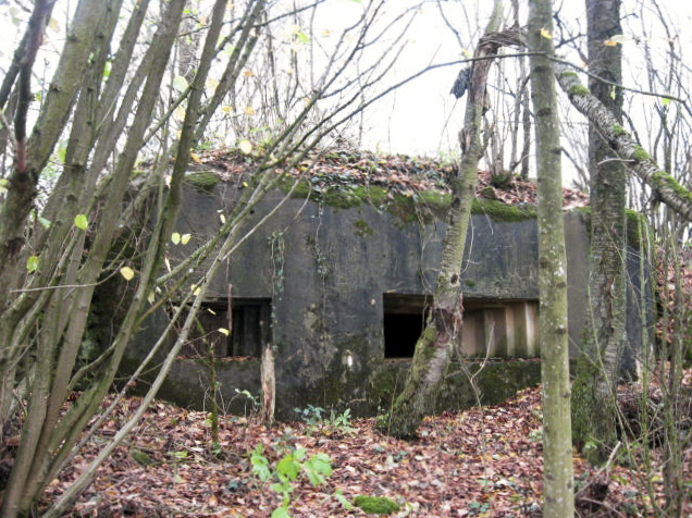 Ligne Maginot - LEYER 3 - (Blockhaus pour canon) - Façade de tir - Christian LENHARD