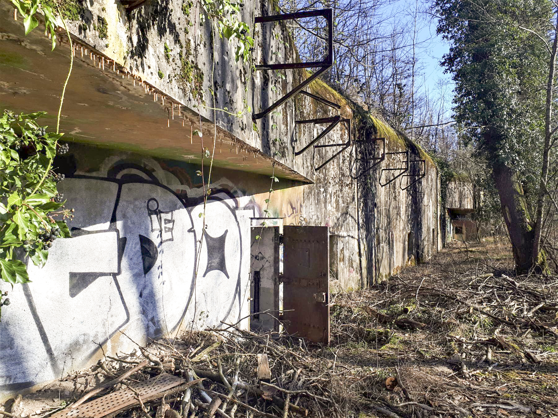Ligne Maginot - SAUER - (Abri) - Etat en 2022 - Grégory Fuchs